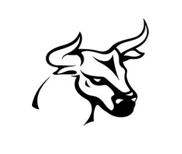 Pullsbit обман