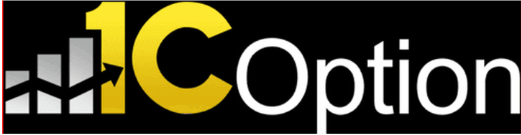 1C Option обзор